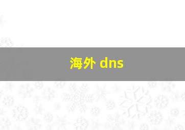 海外 dns